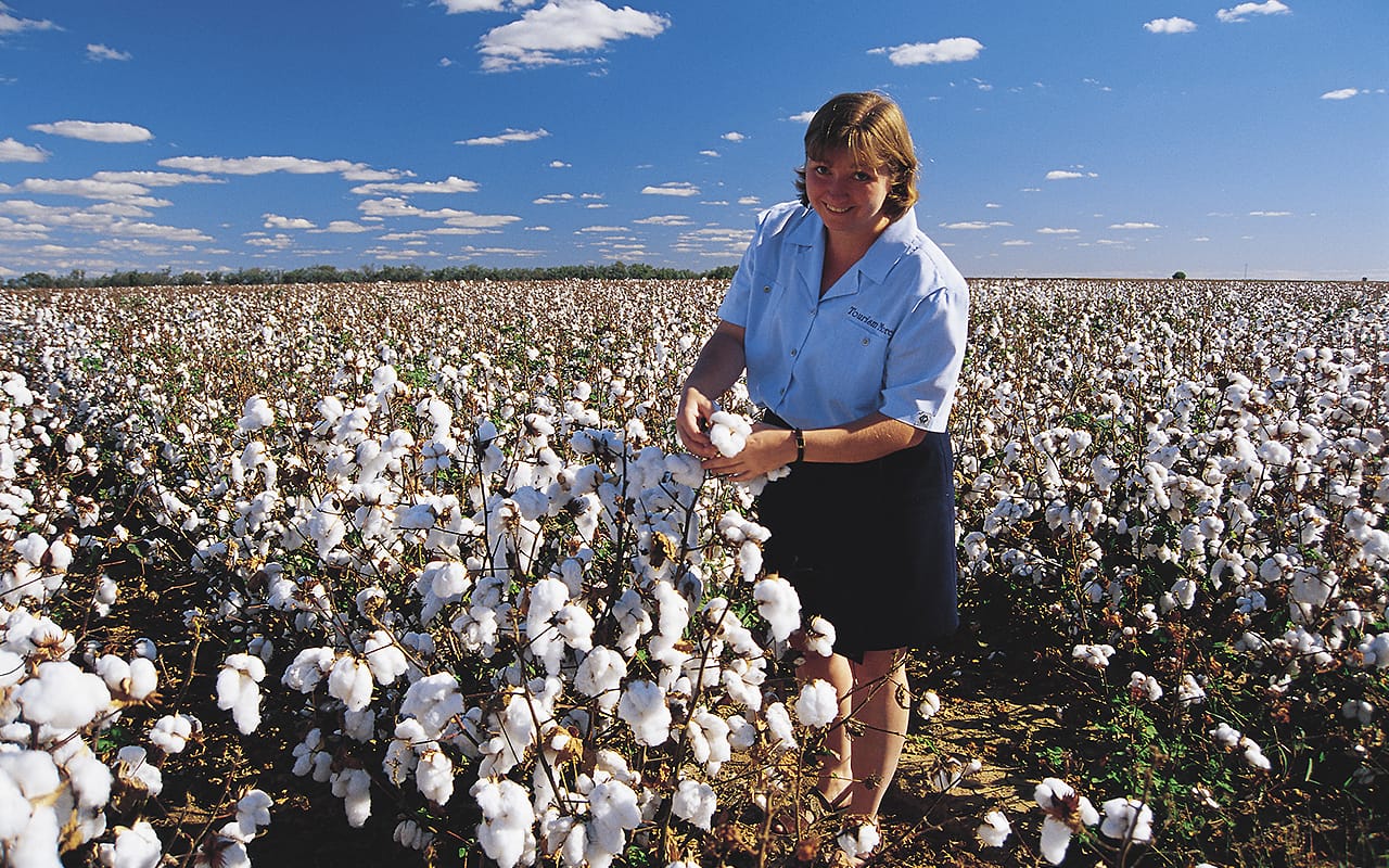 Moree cotton fields Latitude25