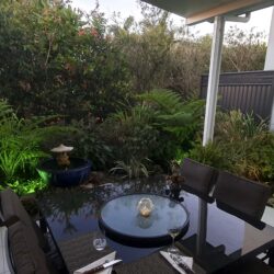 20250626 170704 1 owners image 1 1 250x250 - Home 53