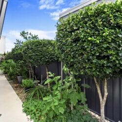 143A3330 1 250x250 - Home 68