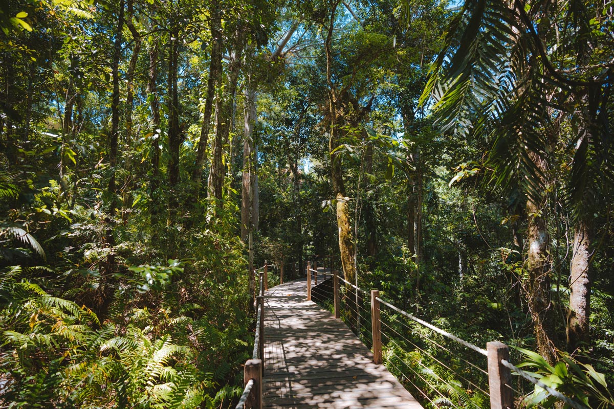 140141 56 - Cairns