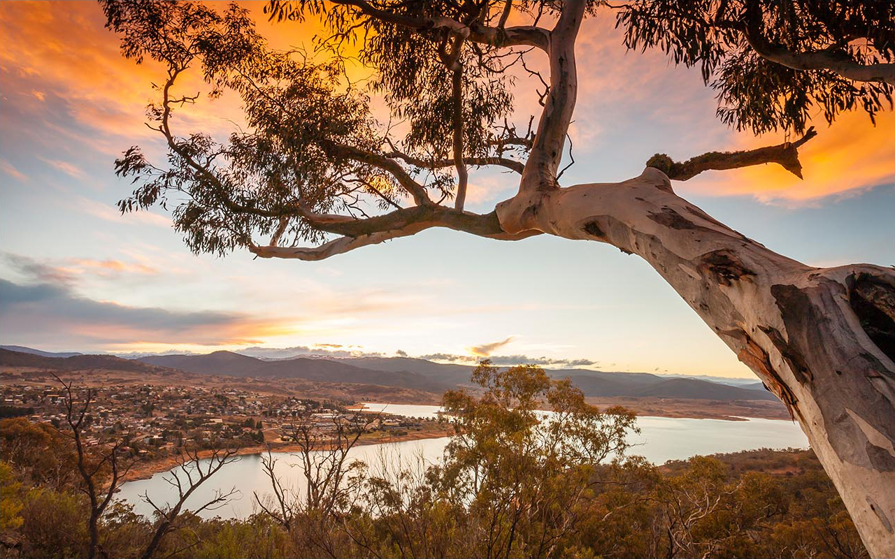 174865 56 - Jindabyne