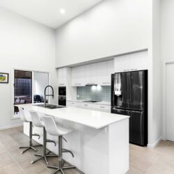 143A0249 1 Copy 250x250 - Home 199